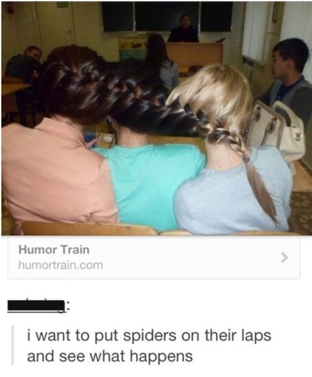 Tumbler blog with Funny Pictures