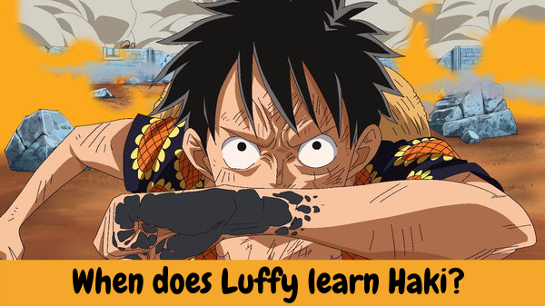 When does Luffy learn Haki? 