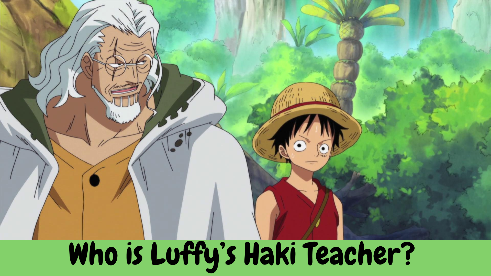 Who is Luffy’s Haki Teacher?
