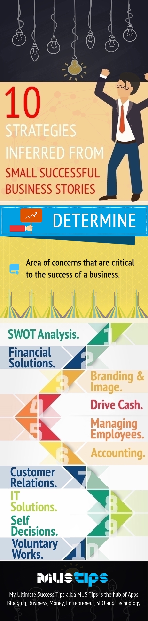 Strategies Inferred from Small Successful Business Stories Inforgraphic