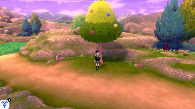 Request #13- Trees That Bear Berries