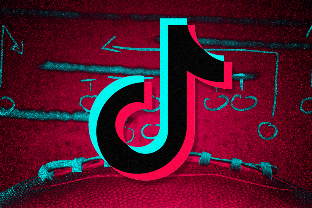 TikTok Downloader 