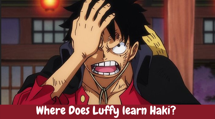 Where Does Luffy learn Haki?