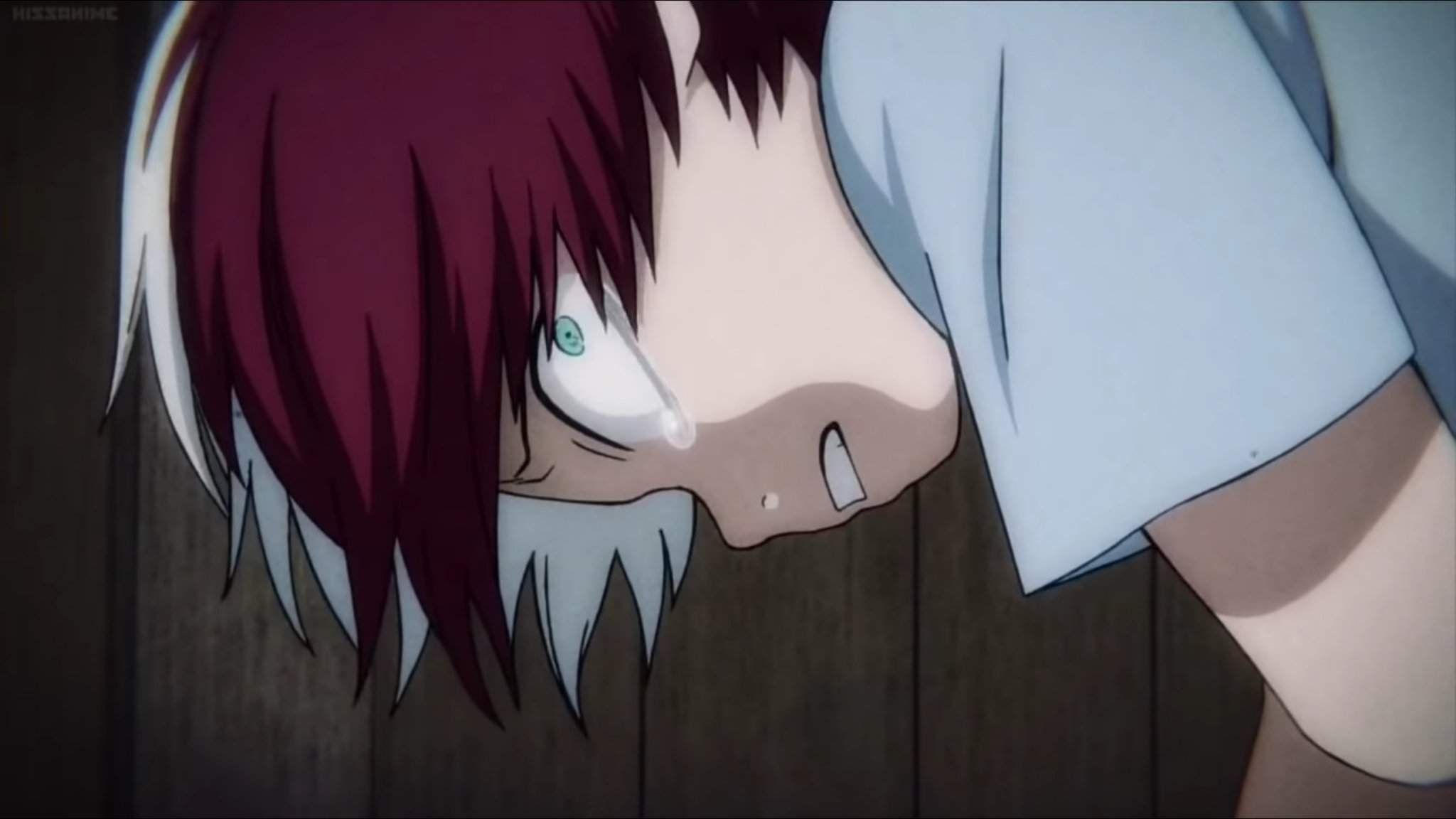 Why did Shoto Todoroki’s mom pour hot water on his face?
