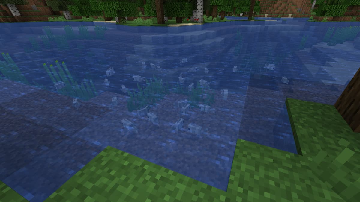 Using a Bucket of Tropical Fish in Minecraft