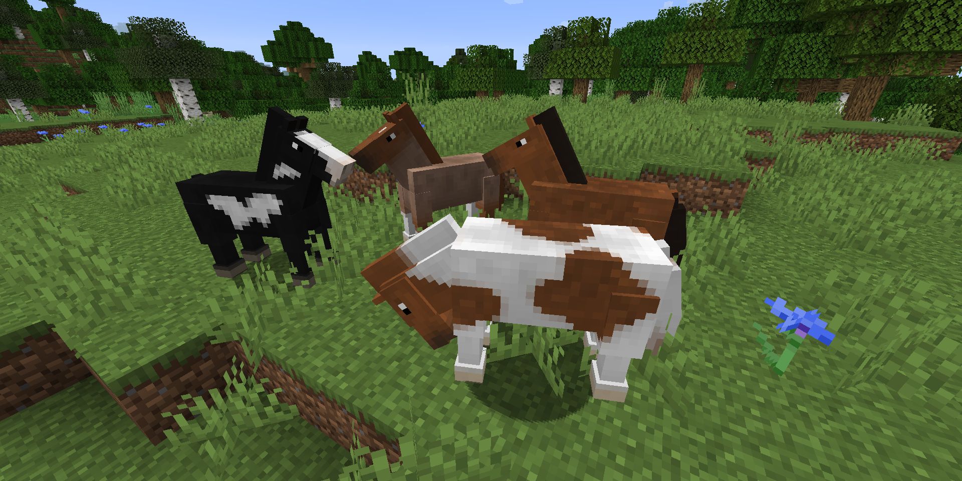 Breeding Horses in Minecraft