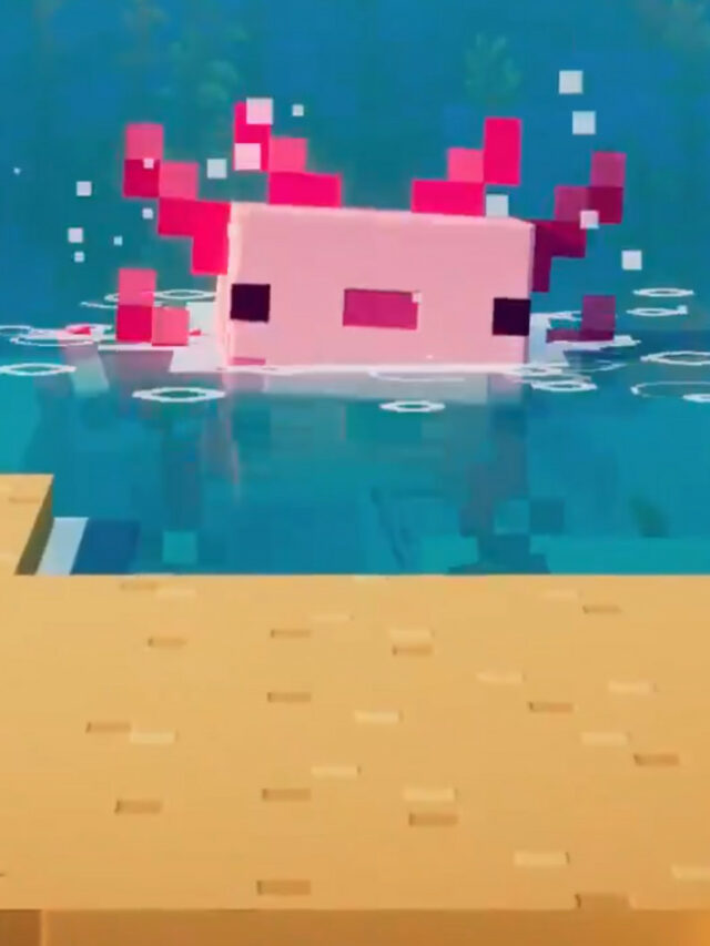 How to tame an axolotl in minecraft 2021 at jimmy coats blog