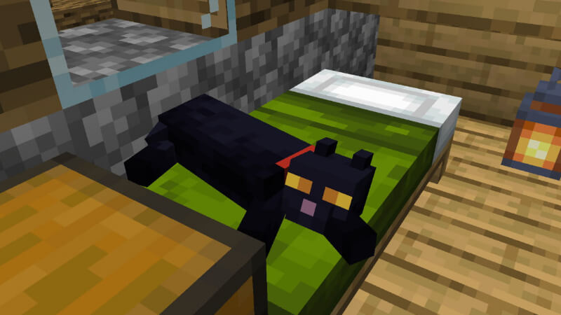 Where can you Find a Cat in Minecraft?