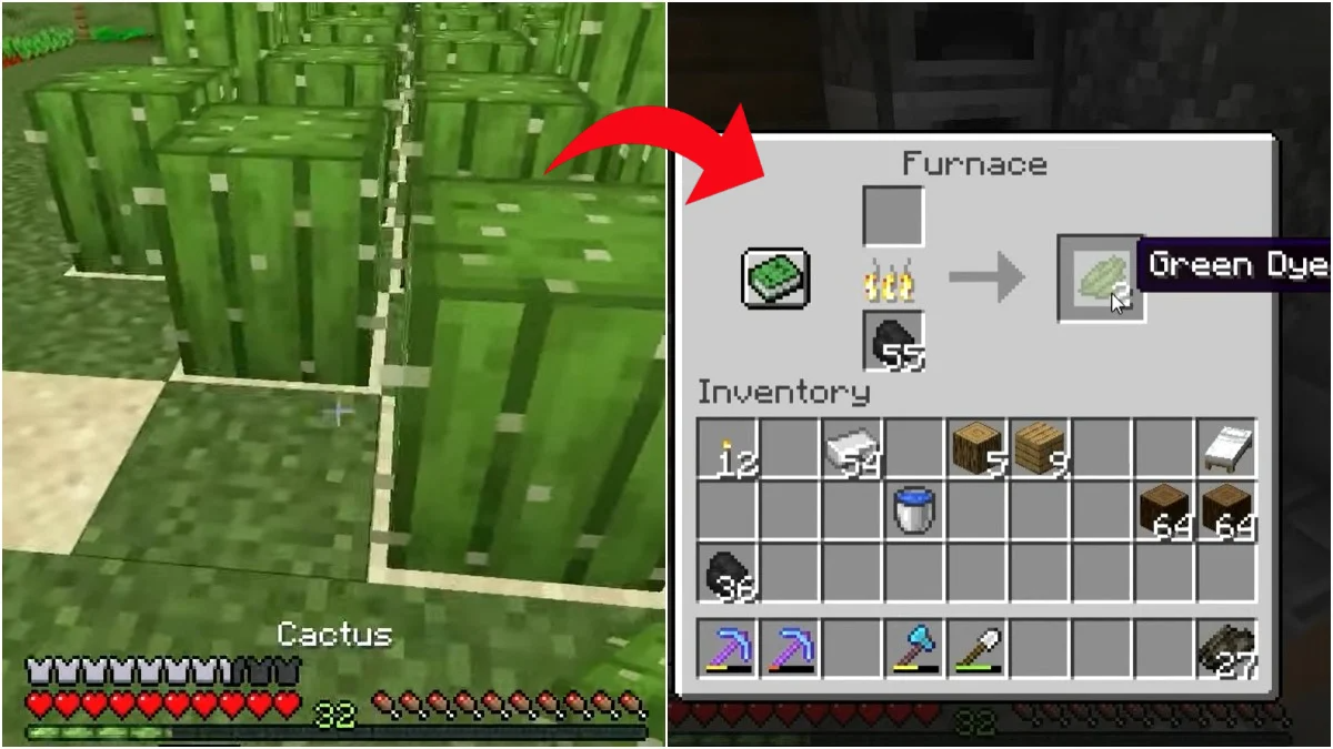 How to get Green Dye in Minecraft?