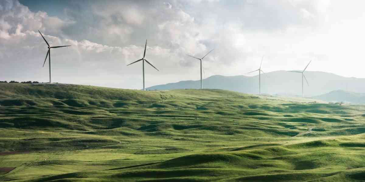 Sustainability No Matter What