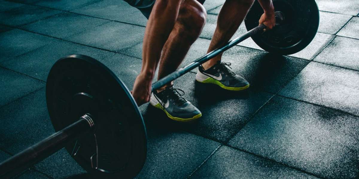 What Is Ecdysterone?